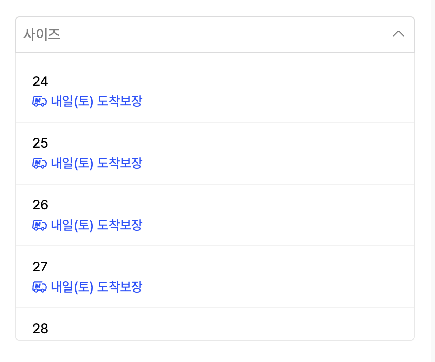사이즈 옵션